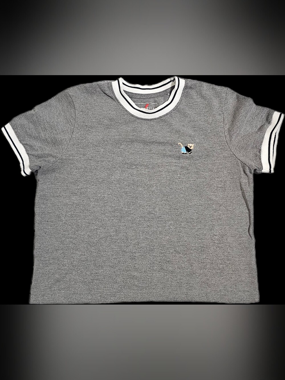 Bench Gray Short Sleeve Tee with White Trim